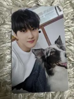 ENHYPEN ジョンウォン　アンケートトレカ 2025