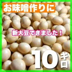 秋田県産リュウホウ新大豆 10kg お味噌作りにものサムネイル