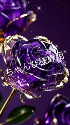 ちゃんぴ様専用ページ