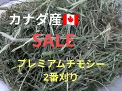 Item thumbnail for item 41473daa-3f65-4cb9-8b70-7a18ac73e7e1