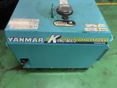 2025年最新】YSG 発電機の人気アイテム - メルカリ