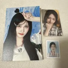 IVE ガウル 2025 シーグリ