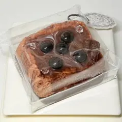 Item thumbnail for item 4e0d32bd-0337-4511-8926-b650569e439b