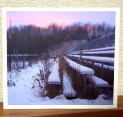 Item thumbnail for item 970f99c5-3562-4581-bc7d-0a7adada241f