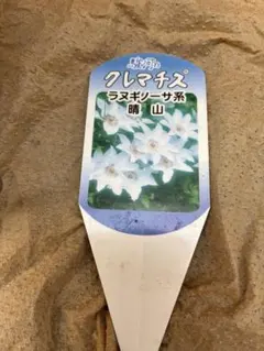 2026年最新】苗の人気アイテム - メルカリ