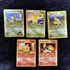 旧裏 ポケカ まとめ売り 御三家 フシギダネ チコリータ ヒノアラシ