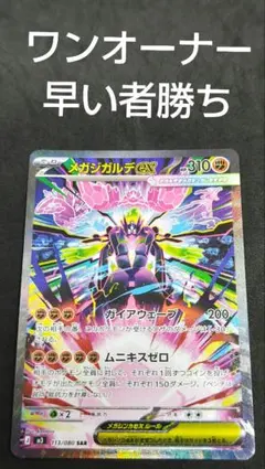 mylittlesunshine様 リクエスト 2点 まとめ商品