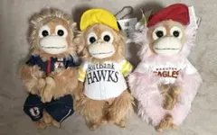 Baby Coco&Natsu ベイビーココ＆ナッツ　サッカー　野球