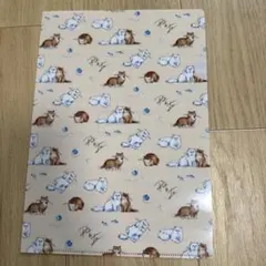 ポール＆ジョー ファイル ゼクシィ付録