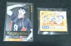 影山飛雄 ハイキュー！！ 箔押しクリアカード アクリルminiフィギュア