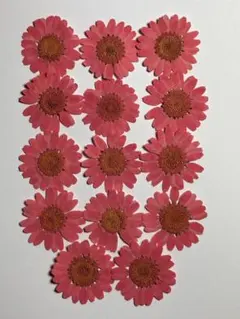 Item thumbnail for item cbc91a2b-e73f-4013-87ff-c70ce774fe92