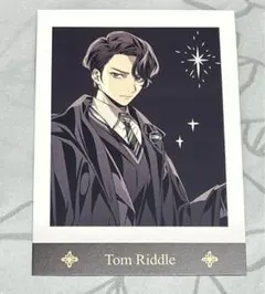 ハリーポッター リドル ぱしゃこれ