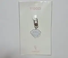 SEVENTEEN ウジ WOOZl
