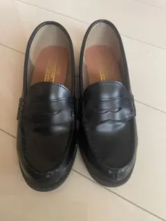 Item thumbnail for item 7cb17bcb-551f-4be3-b44f-9c1d1a593df7