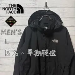 THE NORTH FACE GORE-TEX ブラック マウンテンパーカー L