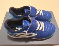 Item thumbnail for item 4d791782-77d7-44af-842f-070ae50e3bf9