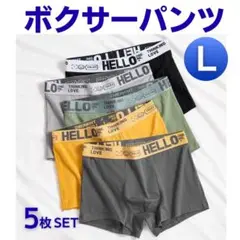 ボクサーパンツ ブリーフ L シンプル 下着 メンズ ローライズ 5枚組