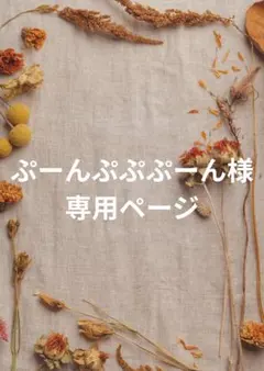 ぷーんぷぷぷーん様専用ページ