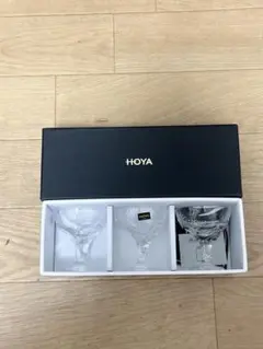 HOYA馬上杯