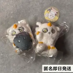 【新品タグ付き】デスクトップから見守るひっかけぬいぐるみ ＆ マスコット あのこ