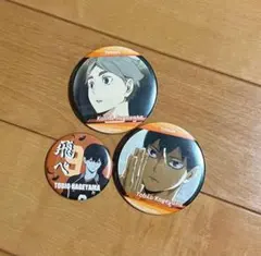 ハイキュー!! ハイキュー 影山飛雄 菅原孝支 缶バッジ 缶バッチ