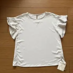 【値下げ中】半袖ブラウス　L 新品　Dessinのサムネイル
