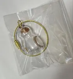 うちの子のけだまだま(シャム)