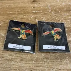 福井県 恐竜博物館 始祖鳥 ピンバッジ