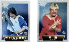 Item thumbnail for item f4c6fcc3-17e6-410f-9e13-3fe5f3e9eea9