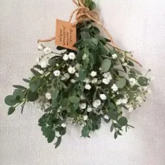 Item thumbnail for item c03816c0-4166-4f4a-a987-4ddfa1aad5a6