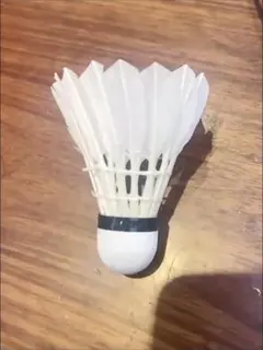 Item thumbnail for item f8d30050-dfa6-44cb-a19f-2716b1a2b902