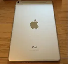 iPad mini 5th SIMフリー美品