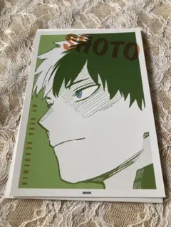 ヒロアカ 原画展 ワンシーンカード 轟焦凍 僕のヒーローアカデミア MHA