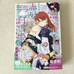 2025年最新】月刊ララの人気アイテム - メルカリ