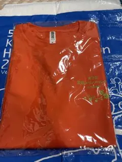 第9回茨城メロンメロンラン　　参加賞　Tシャツのサムネイル