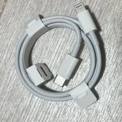 新品未使用 Apple純正 ライトニングケーブル タイプC