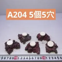 2026年最新】人工ライブロックの人気アイテム - メルカリ