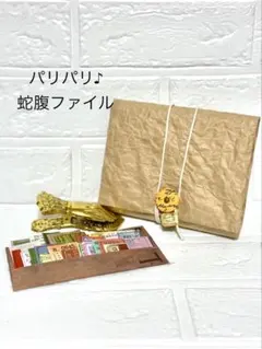 アコーディオンファイル