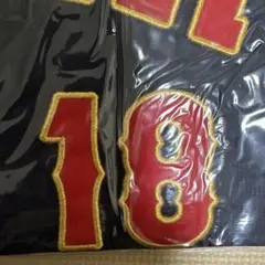 森下暢仁 侍ジャパン　Mizuno 日本代表 ユニフォーム Lサイズ