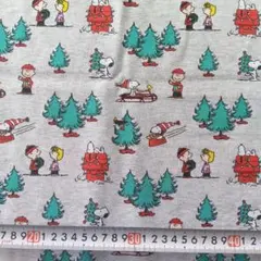 usaコットン生地