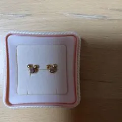 ディズニーランド、ピアス