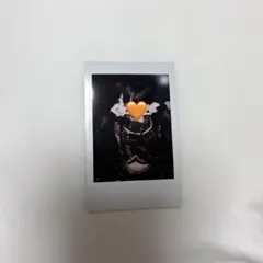 2025年最新】らぶしっく チェキの人気アイテム - メルカリ