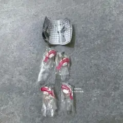 ポケモン めじるしアクセサリー2 シャリタツ