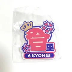 セレッソ大阪　26百年構想リーグ　ネームバッジ　6 登里