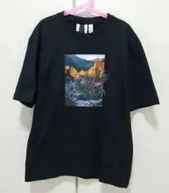 アディダス オリジナルス　Tシャツ XS