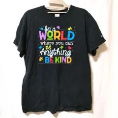 GILDAN 100%コットン Tシャツ Mサイズ