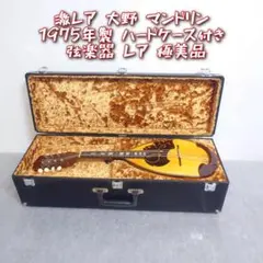 1975年製 岩崎 マンドリン ハードケース付き 大野 2025年最新】大野 マンドリンの人気アイテム - メルカリ