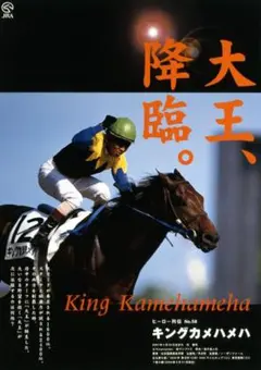 ウオッカ　ヒーロー列伝　Ｂ３　ポスター JRA ヒーロー列伝 B3 ポスター No.65 ウオッカ 競走馬 - メルカリ