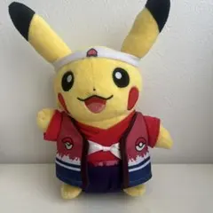 ワールド ピカチュウ ポケモン センター イギリス 近衛兵 ロイヤル