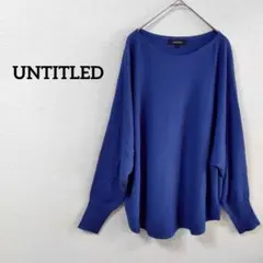 美品】UNTITLED デザイン袖 Tブラウス XL相当 洗濯可 美人百花 - メルカリ
